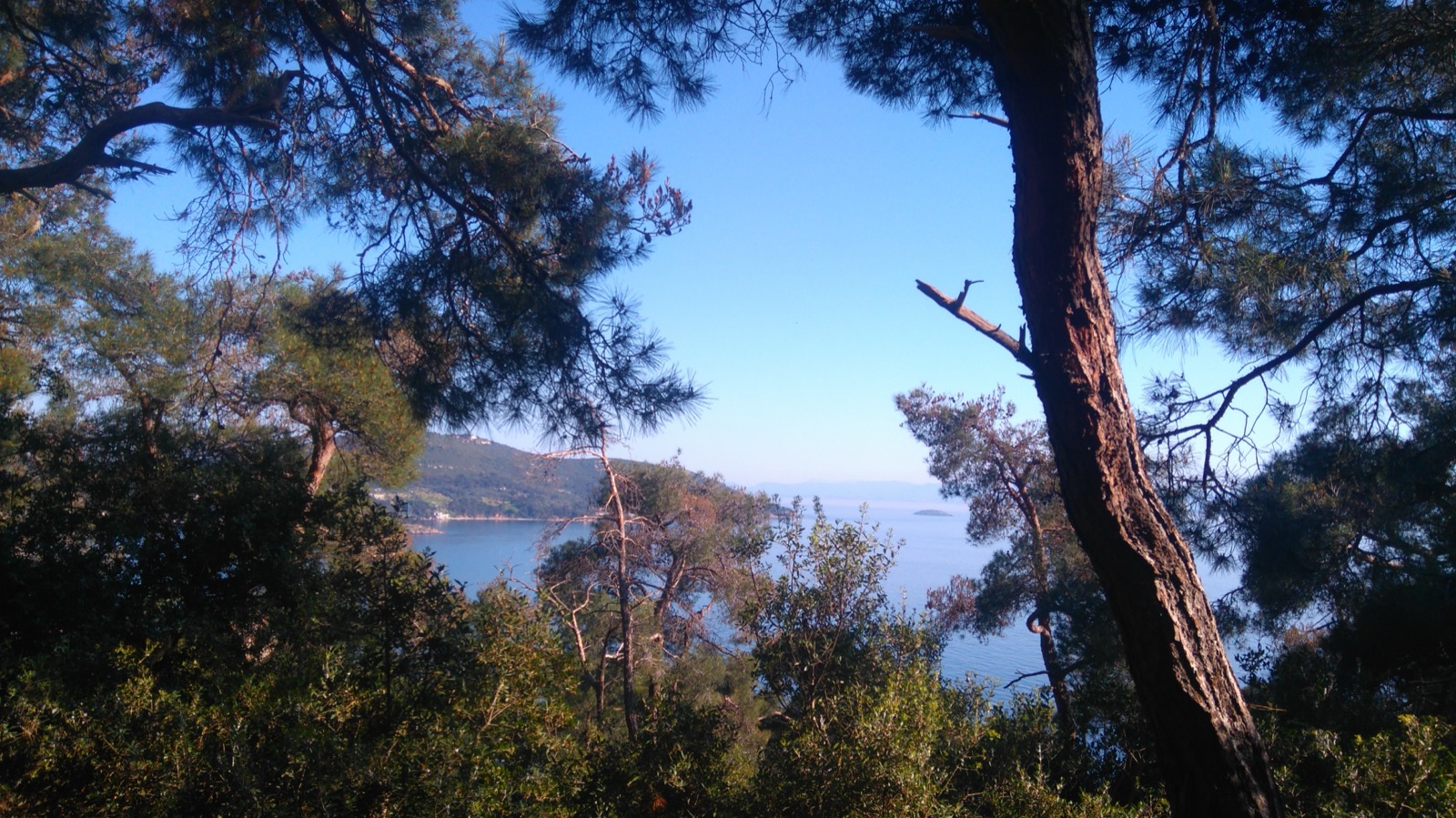 Büyükada und die Prinzeninseln: Verbannte Prinzen, Holzvillen, Strände und warum du für diesen Ausflug wirklich früh losfahren solltest