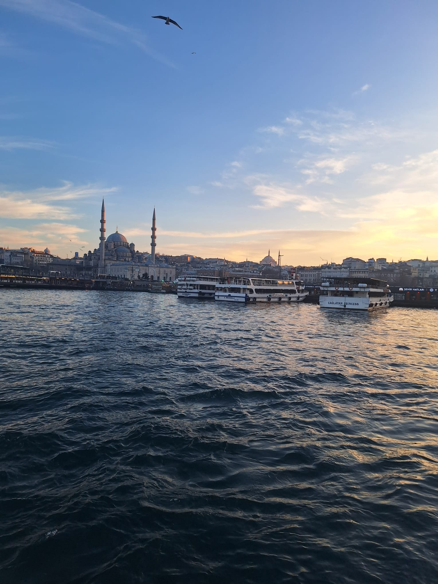 Süleymaniye-Moschee: Süleyman, Mimar Sinan und eine ganze soziale Stadt auf einem Hügel